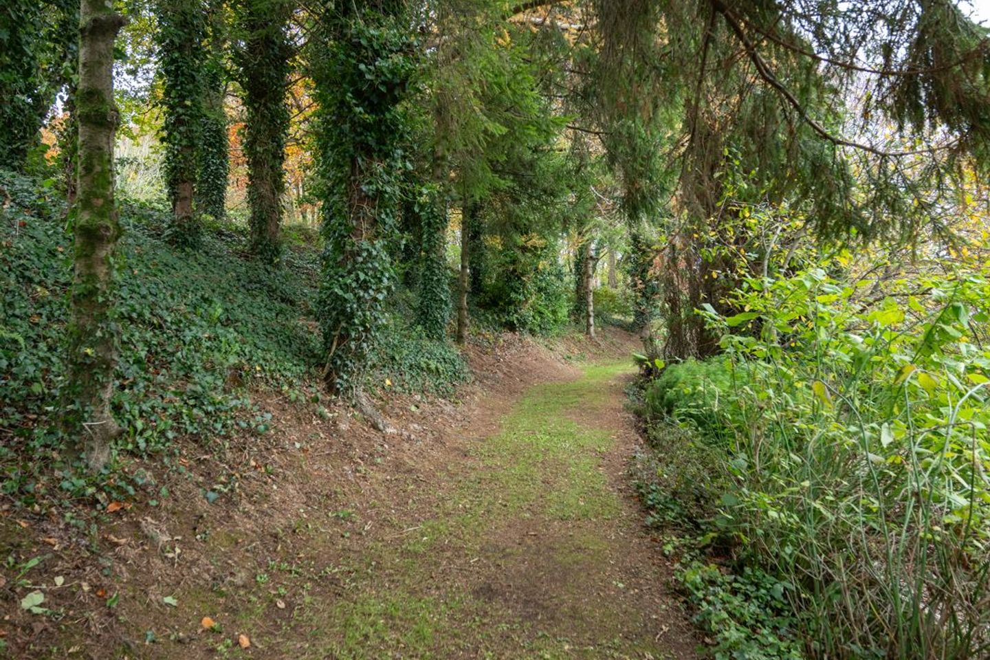 Lower Ballygarvan, Ballygarvan, Co. Cork, T12AH31 39