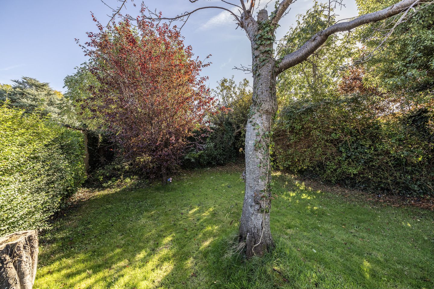 40 Quinn's Road, Shankill, Dublin 18, D18WY63 29