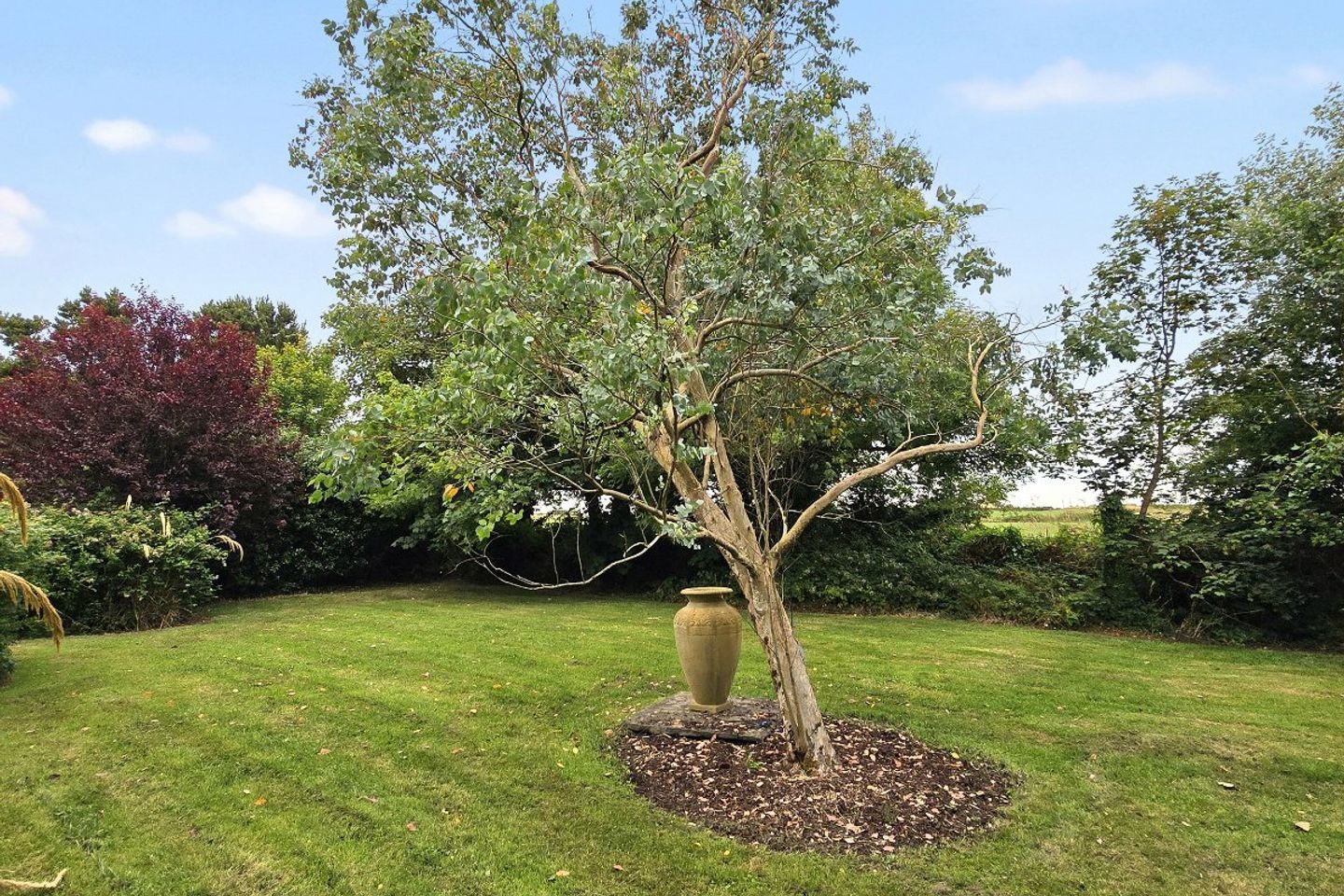 Sycamore Lodge, Lisdeen, Kilkee, Co. Clare, V15PY72 20