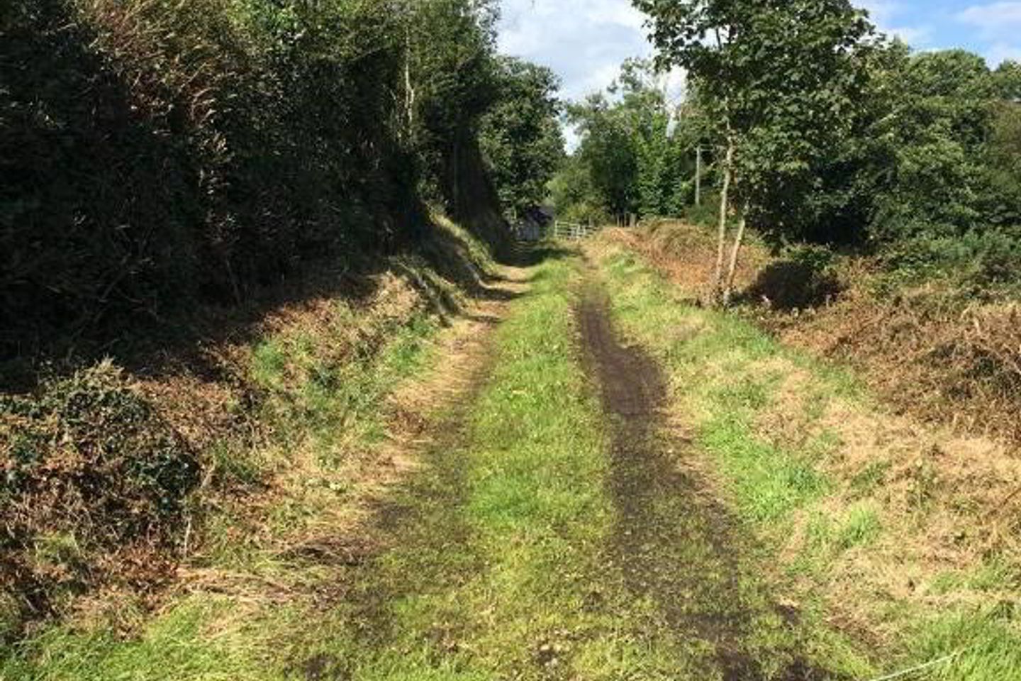 Shanmullagh North, Scotstown, Co. Monaghan 8