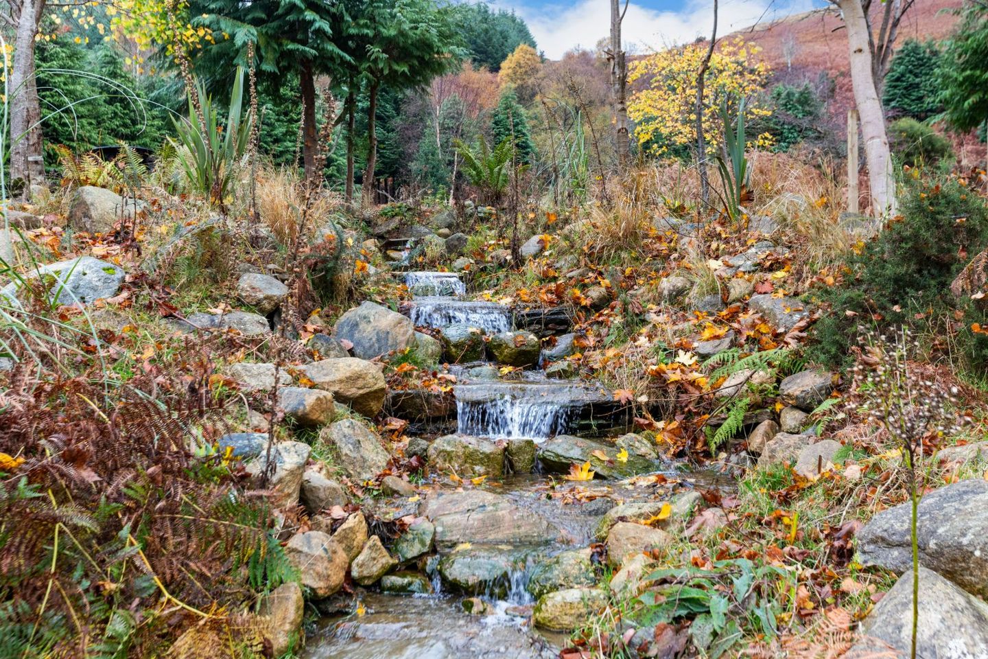Clarisses Cottage, Glenmacnass, Glendalough, Glendalough, Co. Wicklow, A98PW25 28
