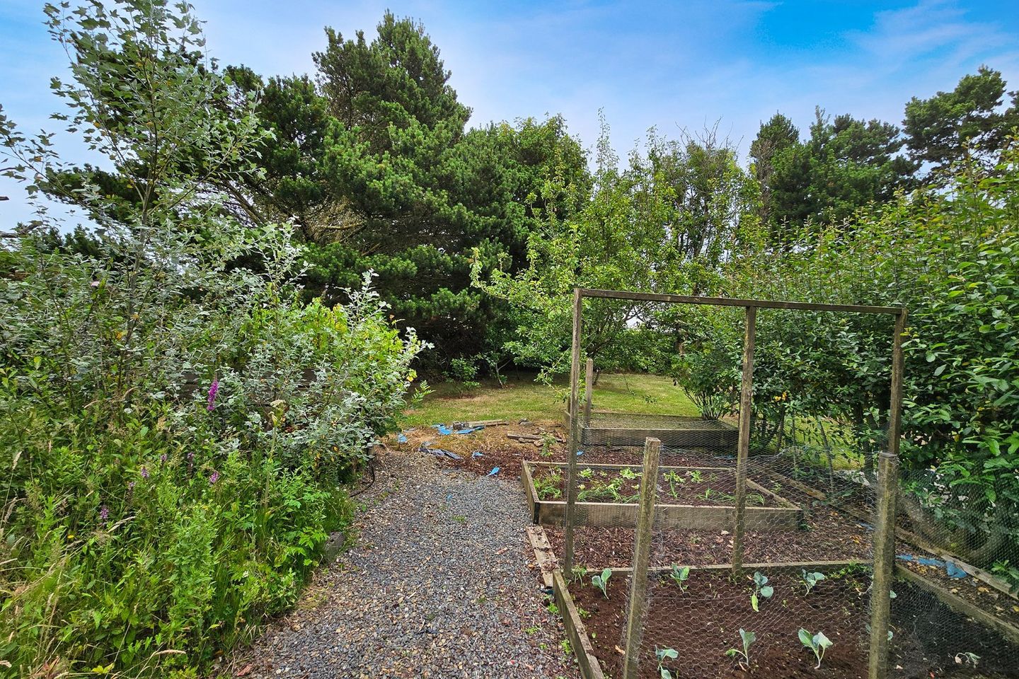 Sycamore Lodge, Lisdeen, Kilkee, Co. Clare, V15PY72 16